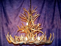 Large White Tail/Mule Deer Chandelier