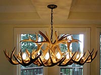 Large White Tail Deer Oblong Chandelier