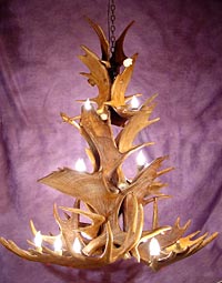 Moose Antler Chandeliers