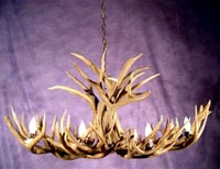 Mule Deer Oval Chandelier