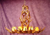 Rocky Mountain Mule Deer Chandelier