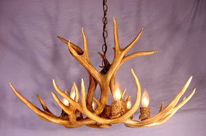 Real Antler Mule Deer Chandelier Special SP-1