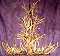 Tall Spruce Mule Deer Chandelier