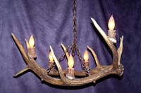 Montana Elk Chandelier