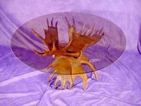 Moose Four Antler Coffee Table Base