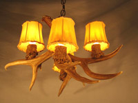 Antler Chandelier Special