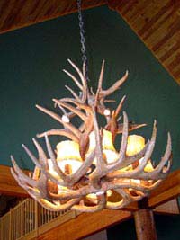 Large Cascading White  Tail Deer Chandelier