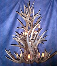 Mule Deer Chandelier MDCAS-XL